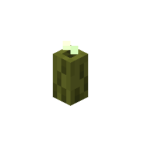 20250117003236